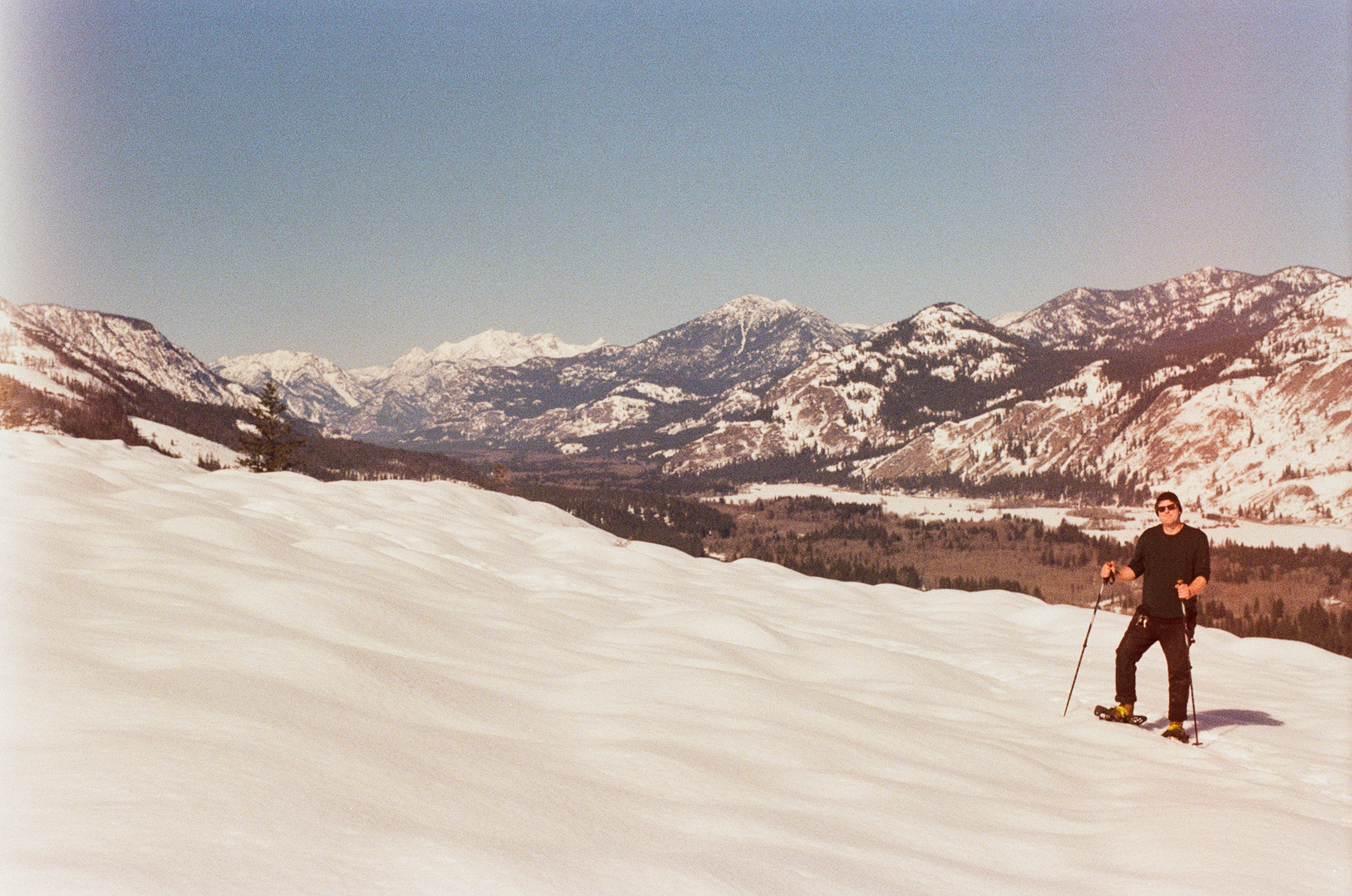 description