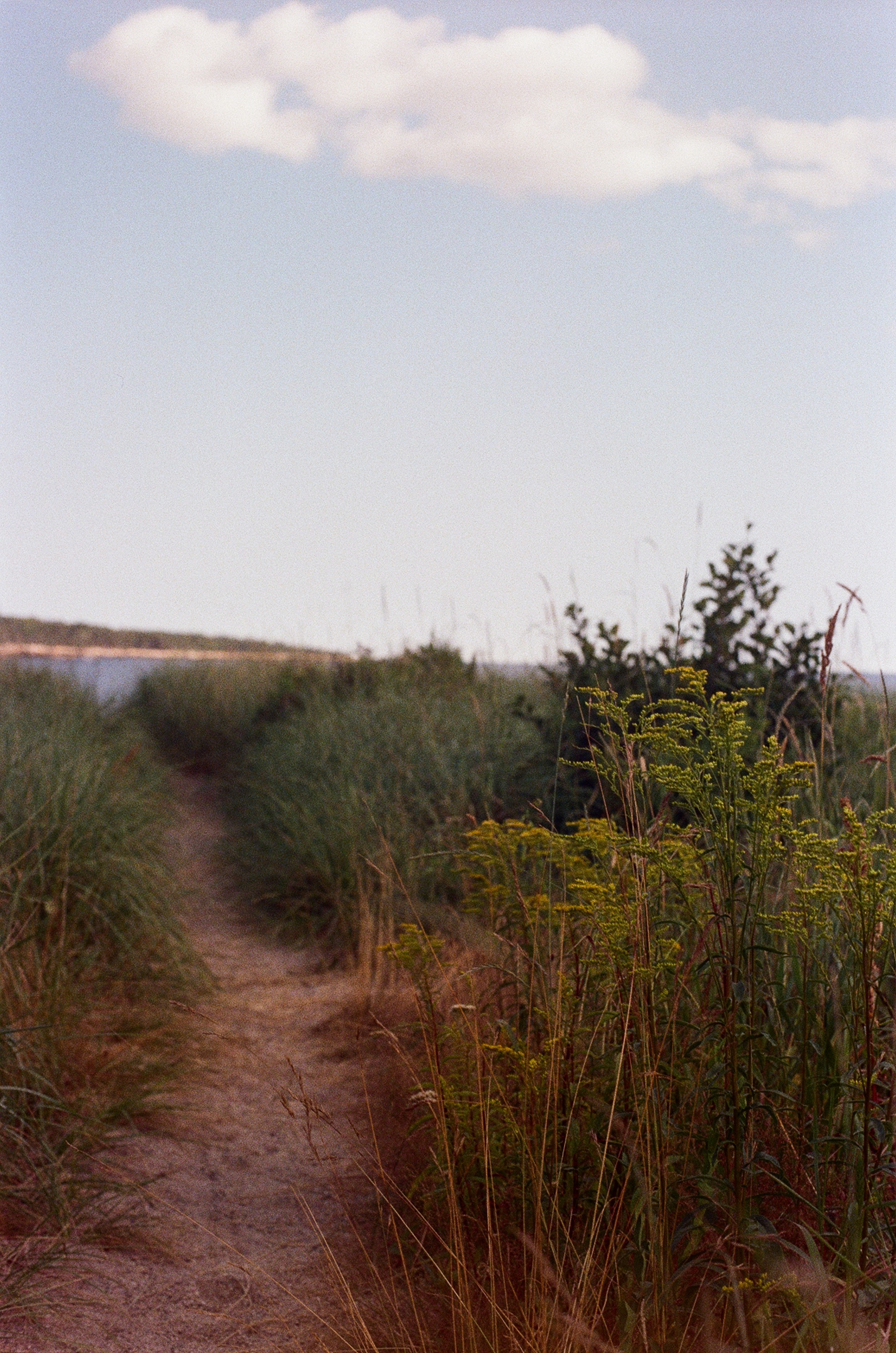 description