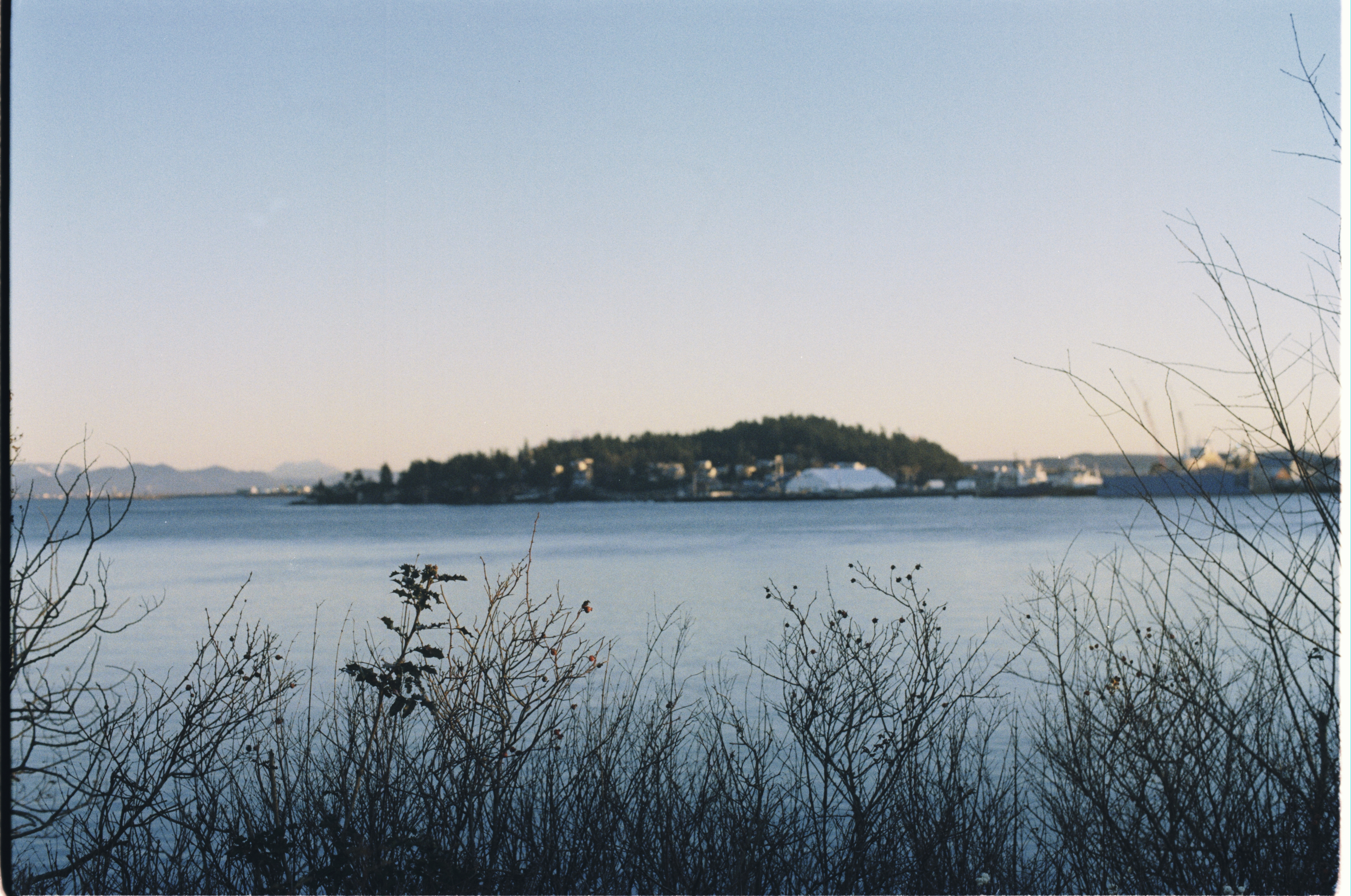 description